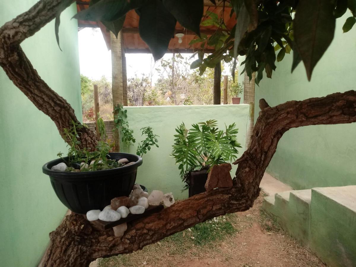 הוילה Alto Paraíso de Goiás Chale Nova Aurora מראה חיצוני תמונה